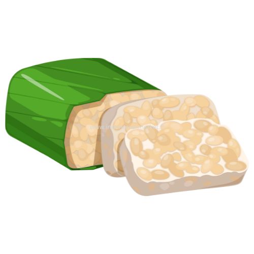 FRESH TEMPEH